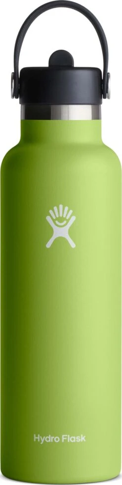 Hydro Flask Standard Mouth Bottle With Standard Flex Straw Cap - 21 Oz|-|Bouteille à Ouverture Standard Avec Bouchon Standard Avec Paille Flex - 21 Onces 23 Hydro Flask Standard Mouth Bottle With Standard Flex Straw Cap - 21 Oz|-|Bouteille à Ouverture Standard Avec Bouchon Standard Avec Paille Flex - 21 Onces -Drinkware Shop HYD S21FS 7ESeagrass 869b73a2 dcf9 4184 8cc7 76bae0fe3a98