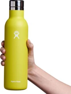 Hydro Flask Ceramic Wine Bottle 25 Oz|-|Bouteille à Vin En Céramique 25 Onces -Drinkware Shop HYD VC25 7E 7EFront 20Cactus dd3cae45 17a7 426a b80a 4d4285edf281