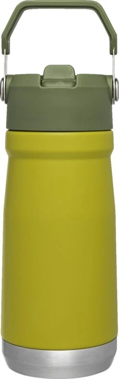 Stanley The IceFlow Flip Straw Water Bottle 17oz|-|Bouteille D'eau à Paille Flexible The IceFlow 17oz -Drinkware Shop STL 10 09991 7E 7EDetail1 20Aloe