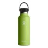 Hydro Flask Standard Flex Cap 532 Ml Thermos Bottle Light Green